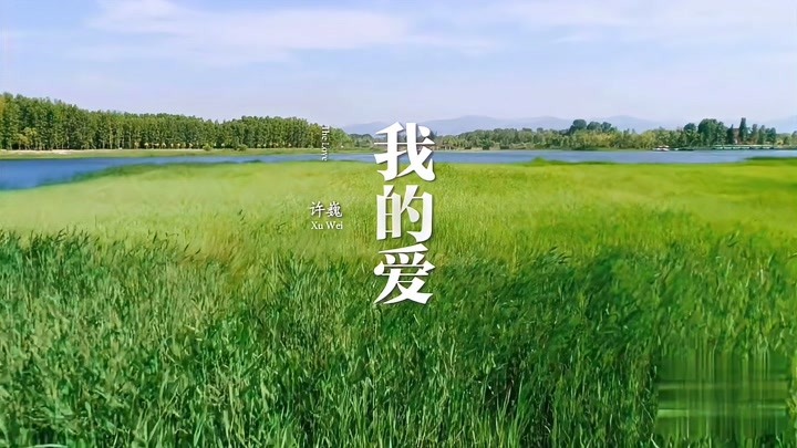 许巍歌曲《我的爱》mv 官方版 太好听了温暖来袭,治愈心灵