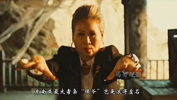 2022年吴樾最新电影，一人分饰两角，勇斗泰国毒枭，你打几颗星
