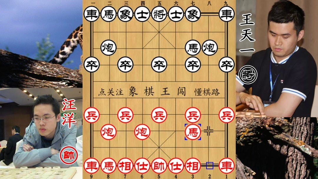 【象棋王闯】他曾在2016年赛上爆笑话 10回合被王天一秒杀 2年后获得