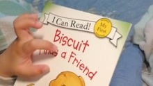 Biscuit ---Find the friend