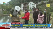 福州：连江梅洋村克服疫情影响，脱贫攻坚不松劲