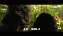 6.5分奇幻片：森林之子毛克利 Mowgli (2018)1080P60fps中文预