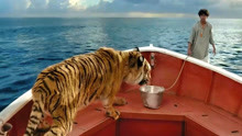 小伙与老虎在海上漂流227天，为了活命，只好抓鱼喂老虎