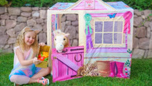 Nastya builds a house for a magic horse