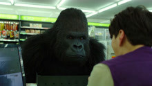 你有见过这么聪明的大猩猩抢便利店吗，还会把监控录像拿走