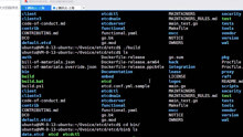 【linux】微服务架构必备利器-ETCD注册发现服务