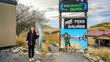 游玩高山三文鱼养殖场High Country Salmon Farm