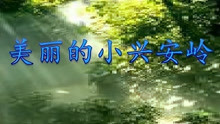 [图]20 美丽的小兴安岭（朗读）