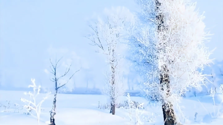 冰凌满树梢，又见银雪飘。万径无人迹，枯草半折腰