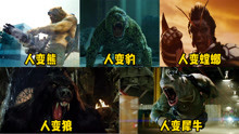 这五部电影中的人变动物，你觉得哪个变身更强，熊人还配有加特林
