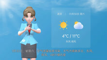 武汉市2021年1月29日天气预报