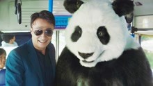 特工获得和动物说话的能力后，竟然带熊猫做公交车《动物园先生》