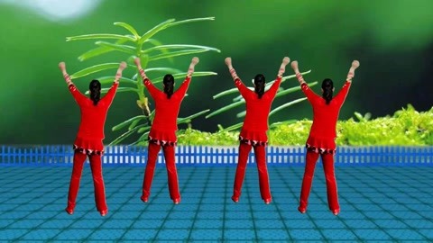 广场舞民族风舞蹈视频_老年民族舞教学视频_最炫民族风广场舞视频下载老年
