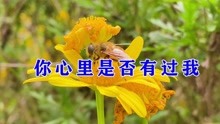 [图]一首情歌《你心里是否有过我》很美的歌声，甜美动听，好听极了！