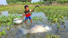 三岁小孩河里抓鱼，捉到一条10斤大鲤鱼，真厉害
