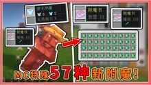 [图]我的世界：MC附魔系统V2.0？57种新附魔，击杀村民获得绿宝石！