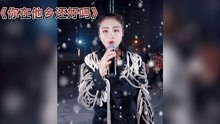 户外歌手张鑫雨：一曲《你在他乡还好吗》，实力派歌手！