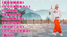 [图]精选9首DJ草原情歌《拉萨夜雨》《火火的姑娘》《梦中的兰花花》