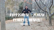 [图]为什么意拳（大成拳）在擂台上像拳击