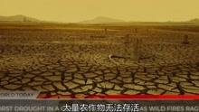 孔刘裴斗娜新作《寂静的大海》未来世界，地球因环境污染无法生活