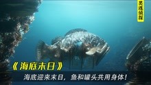 [图]海底末日多恐怖？生物和垃圾共用身体，不料陆地上更触目惊心！