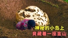 [图]一群人闯入了一座神秘小岛，竟意外发现岛上藏着一座金山