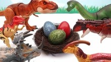 恐龙世界：恐龙们精心守护的恐龙蛋 里面能成功孵出小恐龙吗？