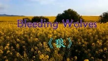 [图]纯音乐-Bleeding Wolves《狼》