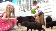 戴安娜玩具：戴安娜跟哥哥来到动物园，给小黑猪喂食，太好玩了