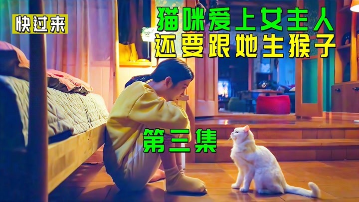 猫咪爱上女主人，还要跟她生猴子，韩剧《快过来》