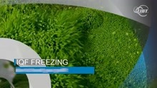 Frigoscandia FLoFREEZE IQF the only true fluidizing freezer