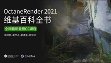 潮氪网：3.OctaneRender 2021双语汉化版安装