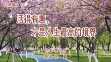 [图]经典散文，贾平凹《活得有趣，才是人生最高的境界》