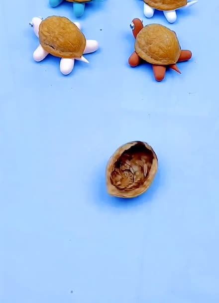 核桃壳做手工制作乌龟图片
