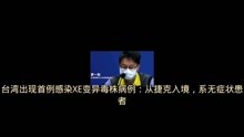 台湾出现首例感染XE变异毒株病例：从捷克入境，系无症状患者
