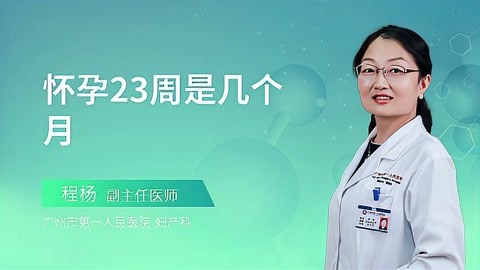 23周是怀孕几个月图片