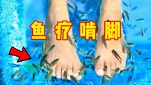 [图]花200块钱买了50条星子鱼体验鱼疗，真的会啃脚吗？