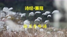 [图]《蒹葭》（诗经），徐卫东教授吟诵，好听好看又好学