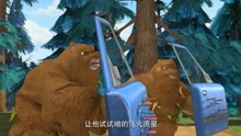 熊出没：植树节光头强砍了熊二种的树，结果被它俩揍了