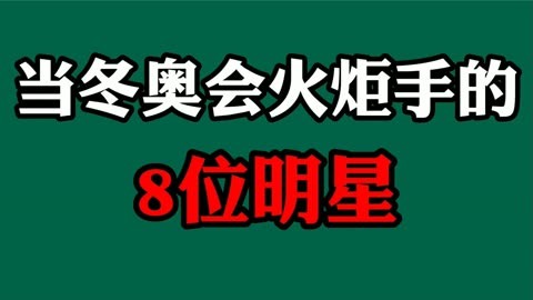 冬奥会火炬手名单明星图片