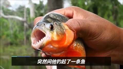 食人魚變異!廣州男子在河邊釣起一條怪魚,長著人的牙齒看著都怕