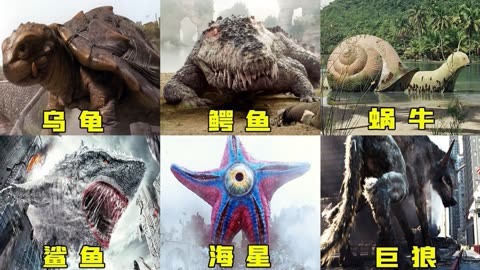 這六版變異動物誰更強,巨型烏龜大戰怪獸?海星這樣繁殖太恐怖