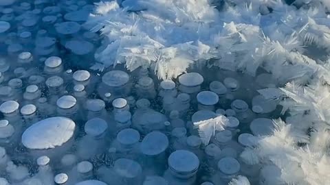 赛里木湖冰花图片