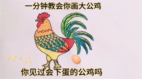 簡筆畫下蛋的大公雞,公雞下蛋,下蛋公雞中的戰鬥雞