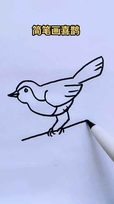 喜鹊的简笔画法 简单图片