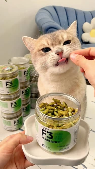 猫薄荷饼干图片