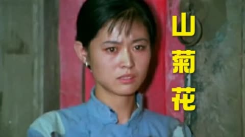 80年代经典老电影《山菊花》,倪萍主演,这样的爱情片已经绝版了!